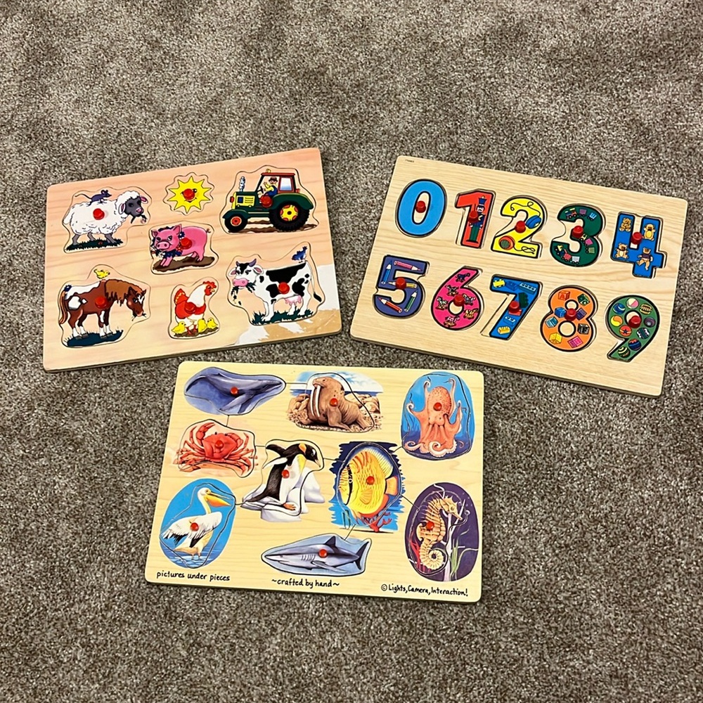 Three Wooden Peg Puzzles Set - Farm, Numbers, and Ocean